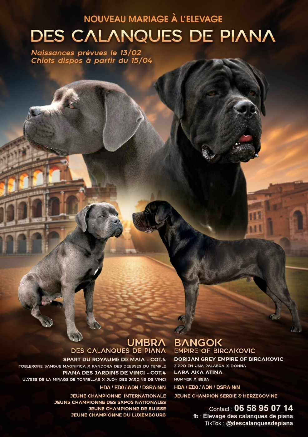 Naissances prévue le 13 février2026