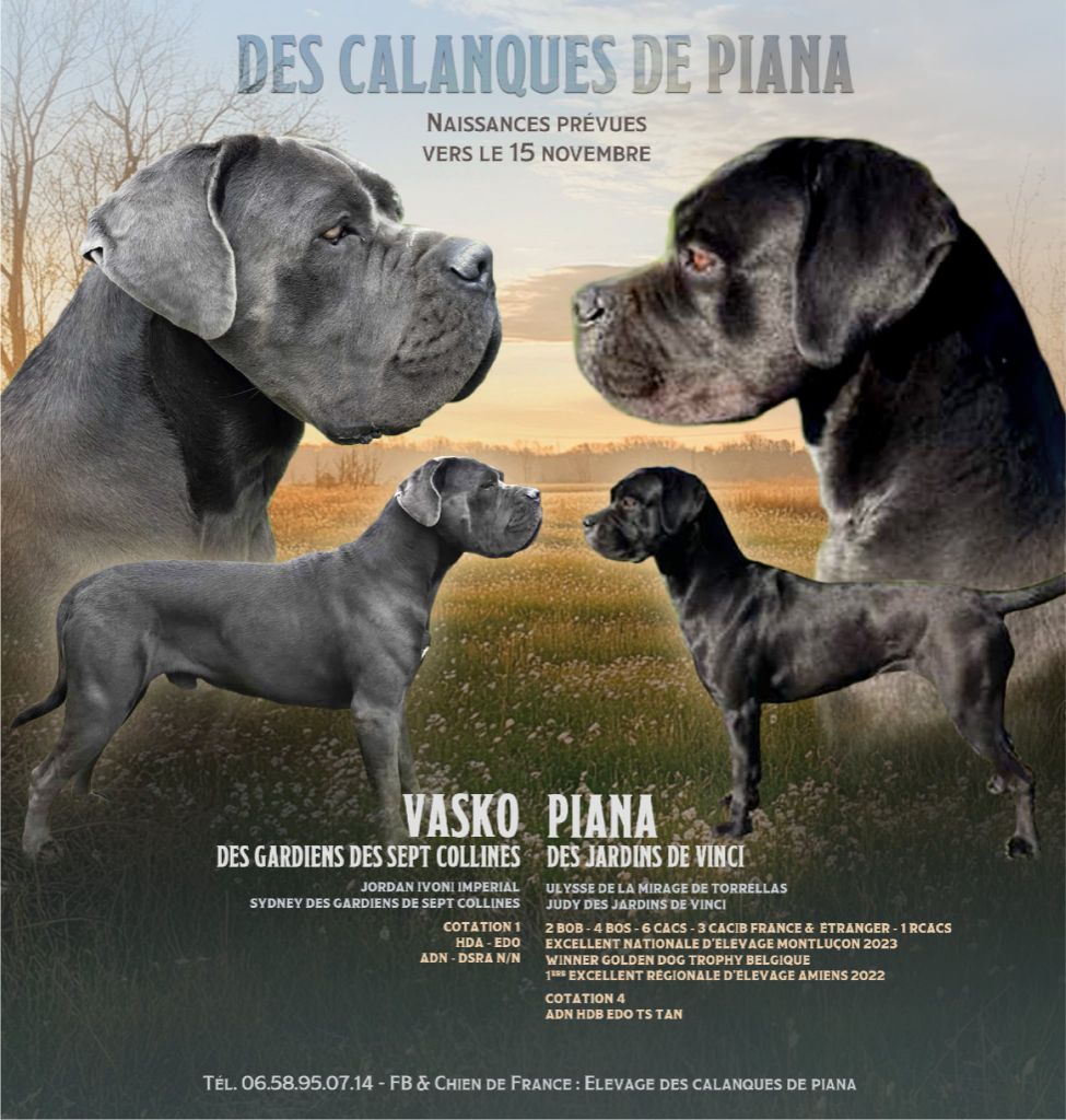 Naissance a venir 